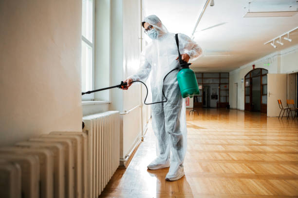 Best Fumigation Services  in Pacifi, CA